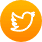Twitter Saqqara|Software ERP